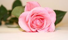 三八妇女节给老婆的短信