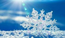 描写优美的句子