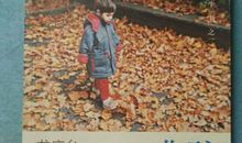 《孩子你慢慢来》读书感悟