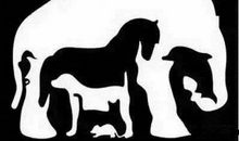 有哪些你第一眼看到就觉得很精彩的话