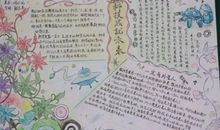 美文摘抄和读后感