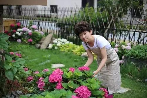 老和尚在荒原上种花