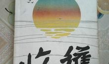 铁凝：门外观球