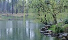 形容春天的雨的句子