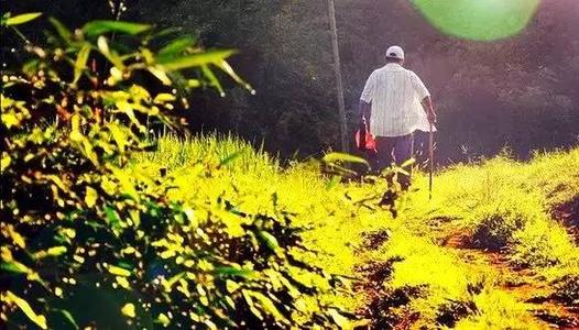 中国独生子的悲哀：“我不死，不敢嫁，特别是想赚钱，因为我父母是我”