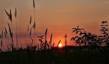 网络经典哲理语句