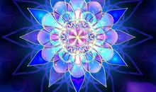 《分形学》读后感