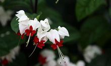 献给老年朋友的话