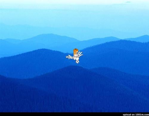 三毛：守护天使