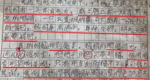 我的“逗留”母亲作文