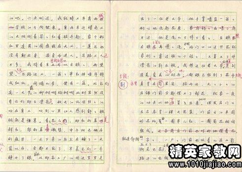 六年级第二本书进行评论