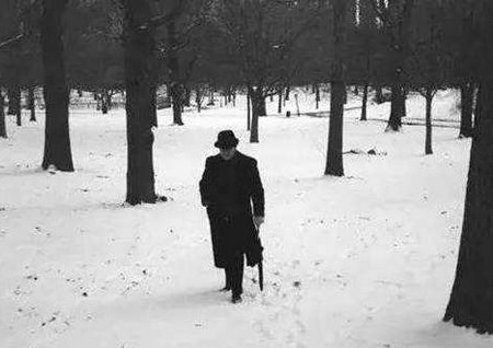 我的生活逐渐变得冷清，似乎是衰落的开始1