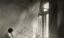 我的生活逐渐变得冷冷清清，这好像是衰败的开端