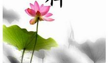 有关生活感悟的句子