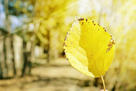 爱的世界有时很难过，但我们必须忍受生活1