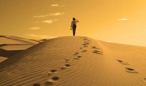 在谈论梦想和未来之前，您必须生存