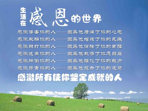 一些感激的句子