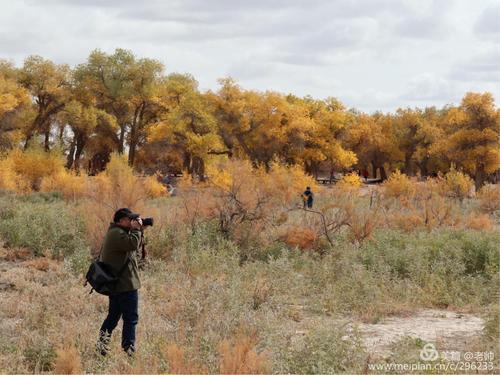 陶渊明：春秋战国时期
