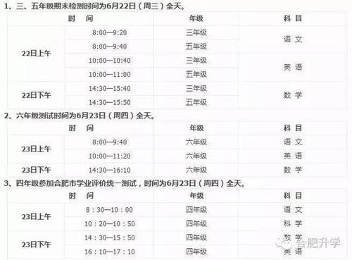 关于2016年底小学生行为的评论