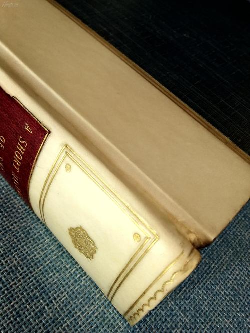 董乔：柳树皮和水杨酸