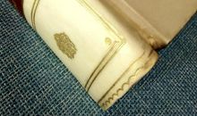 董桥：柳树皮与水杨酸