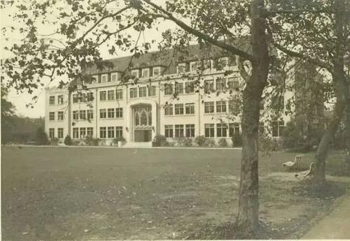 张爱玲：卡通绘画的未来