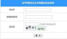 如何查询考生档案运行状态