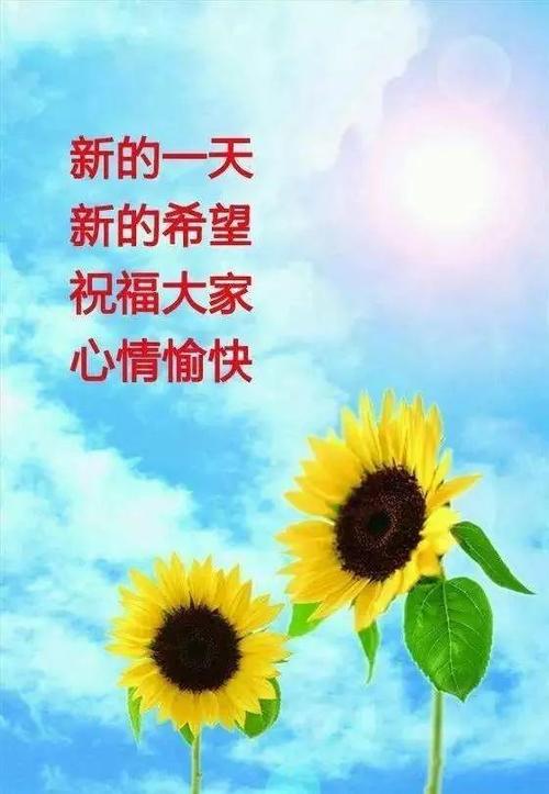 周三祝福语