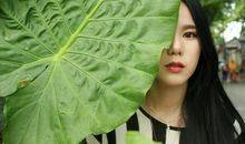 生活是一场独角戏，我们痛恨的嫉妒的恐惧的都是另一个自己