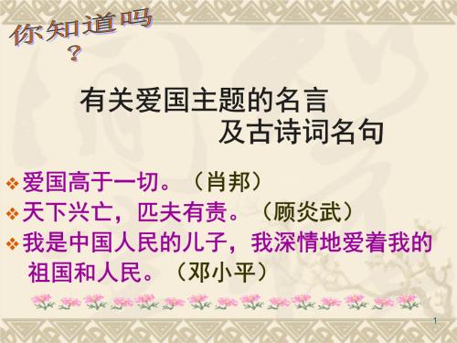 表达爱国主义的诗