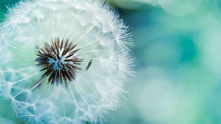 人会来，他们会离开，这个世界已经轮回