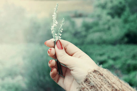 环游世界，实现这一旅程，过着美好的生活1