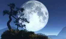 表现游子思乡的诗句