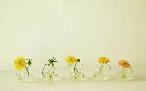 尊重他人是一种修养