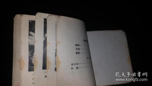 甜瓜在句子中成熟