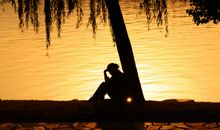 舒婷：周末晚上