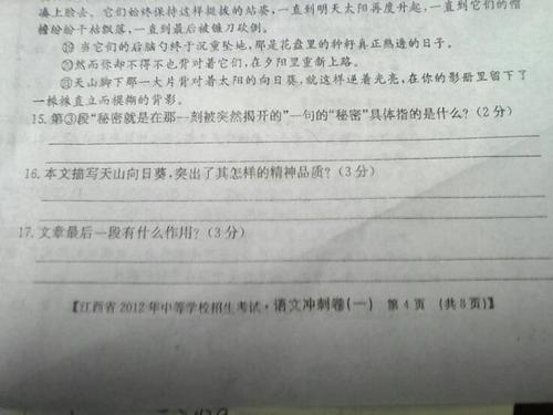 张康康：向日葵