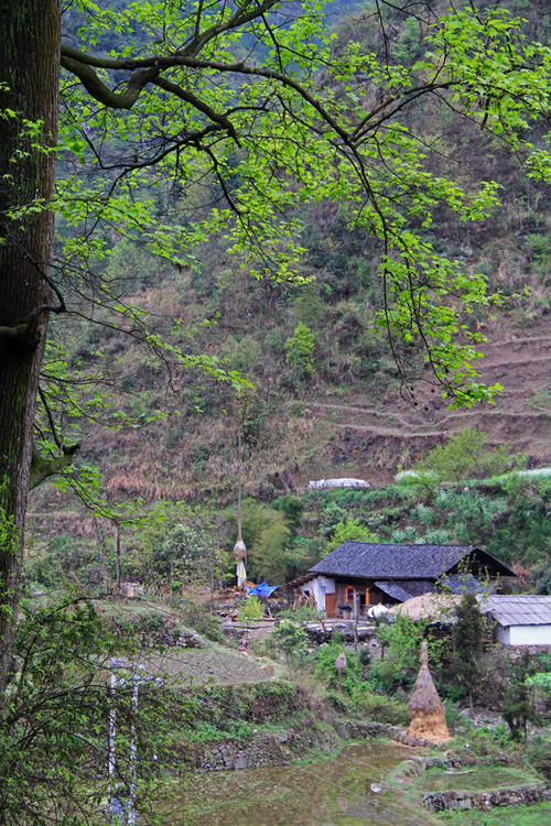 雨后描述乡村的句子