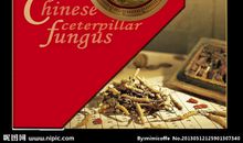 冬虫夏草广告语