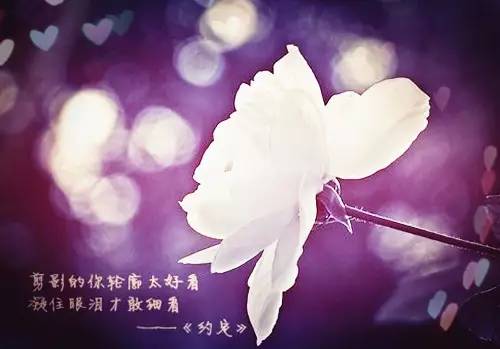 关于理想的美丽句子