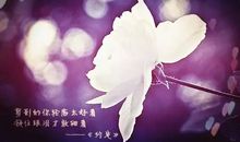 有关理想的优美语句