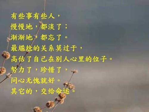 不要打扰那些不想关心你的人