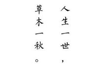 关于流浪的句子