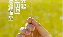 励志感悟：你要成功，就要打败另一个自己