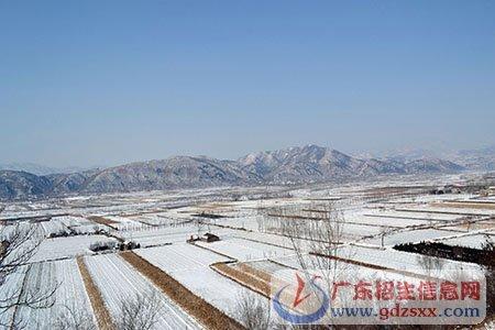 风景构成：冬季风景