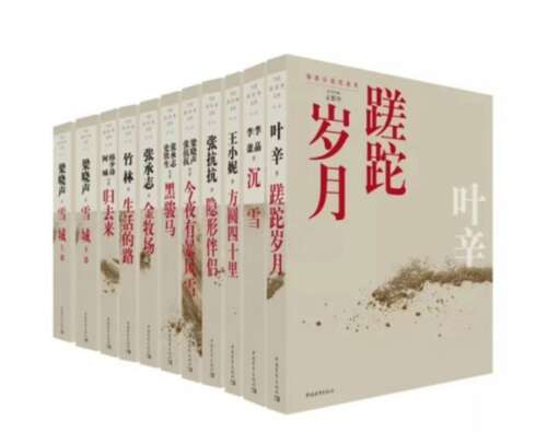 张康康：网络文学的混合意识