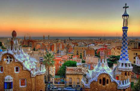 张康康：白鸟之乡