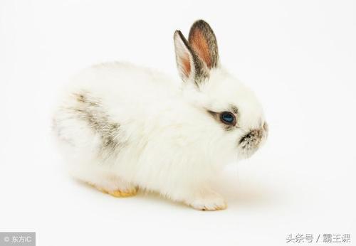 情商高，只是不尴尬