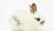 情商高，就是不让人难堪