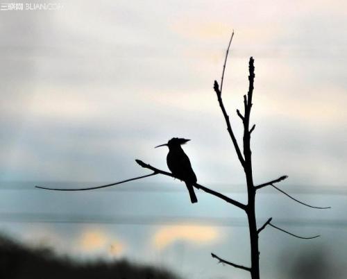 励志人生：陪伴您走过青春f